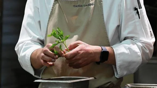 Рамиль Ситдиков / РИА Новости