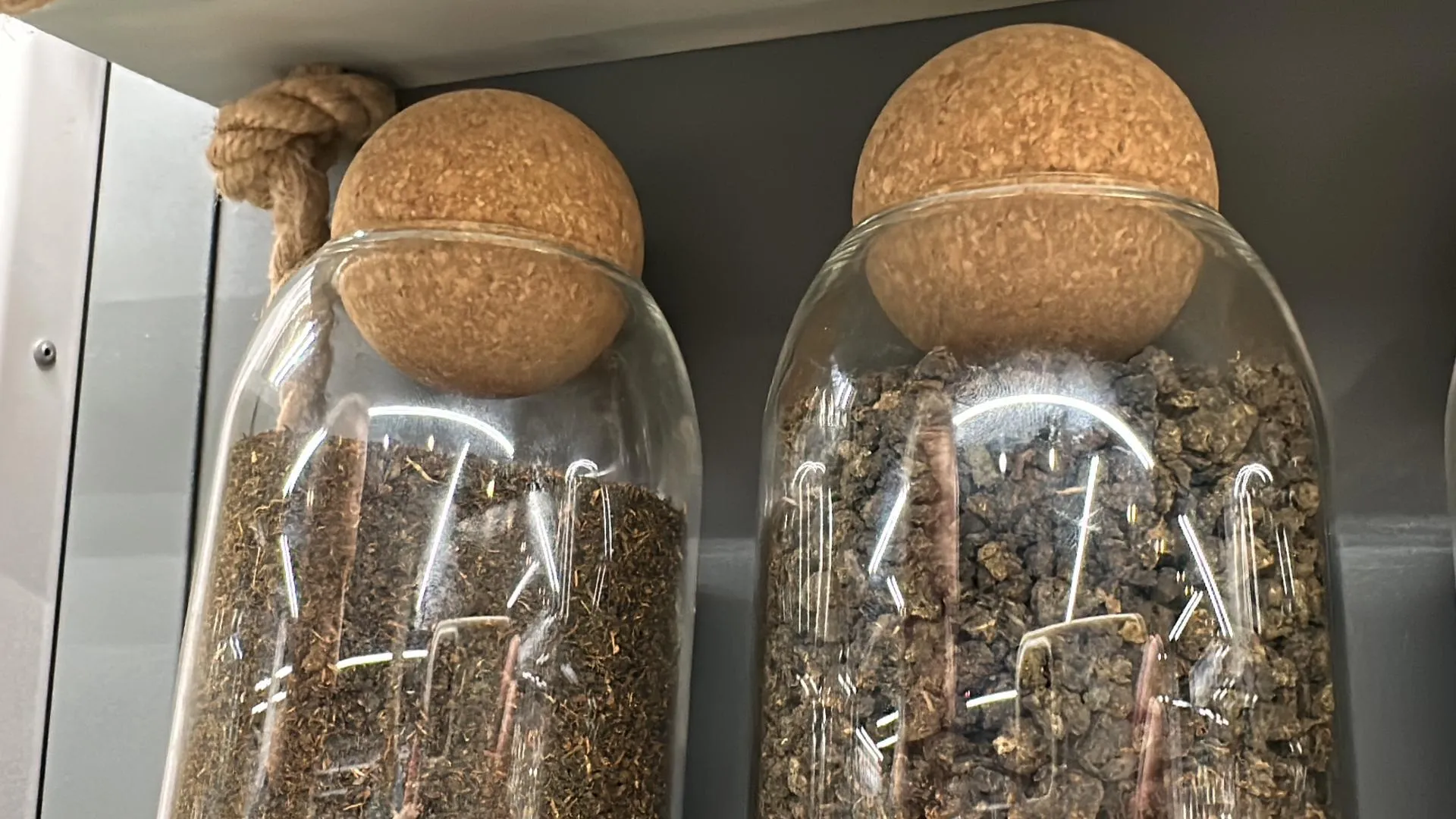 Мария Шматкова