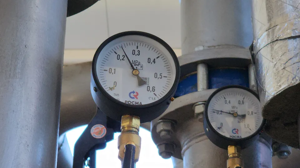 Фото: Екатерина Данилина