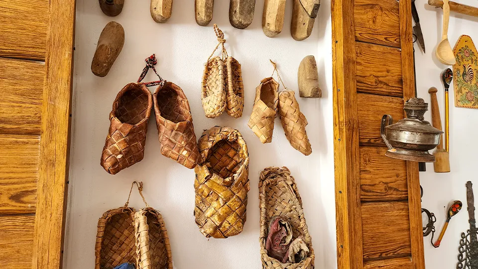 Фото: МедиаБанк Подмосковья/Мария Андрюхина