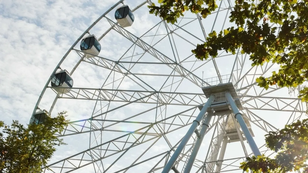 Фото: пресс-служба администрации г.о. Химки