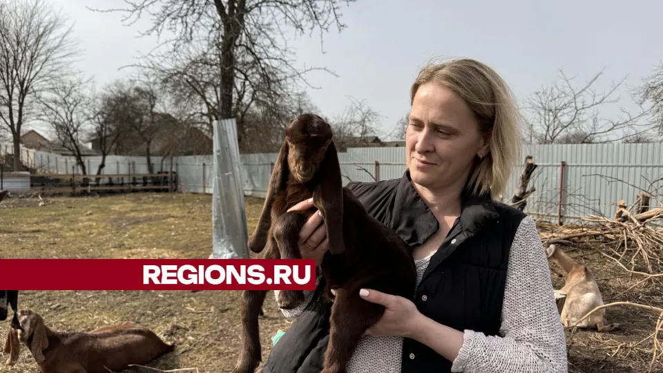 Фото: Татьяна Рунова