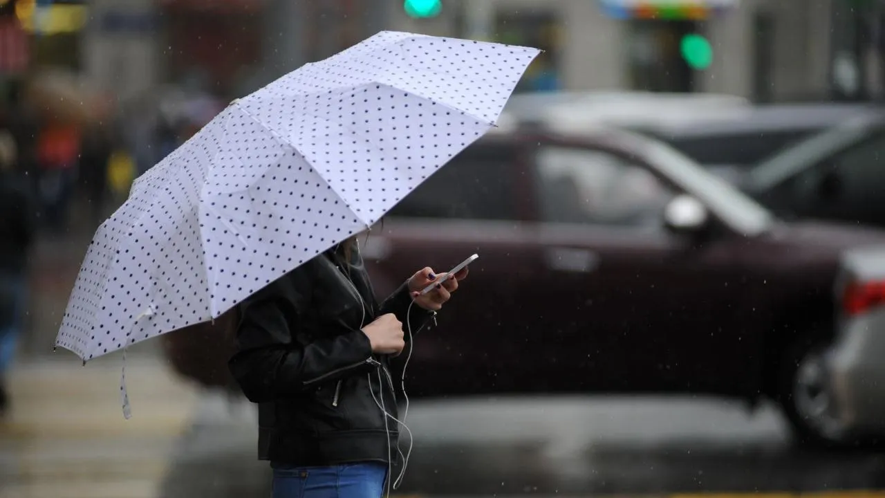 медиасток.рф