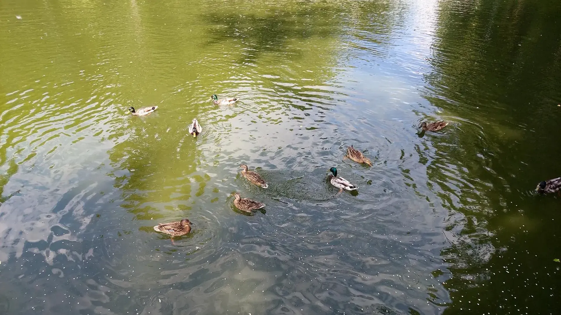 Фото: Светлана Плотникова