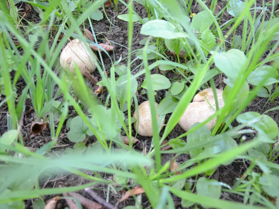 Фото: Олег Шилов