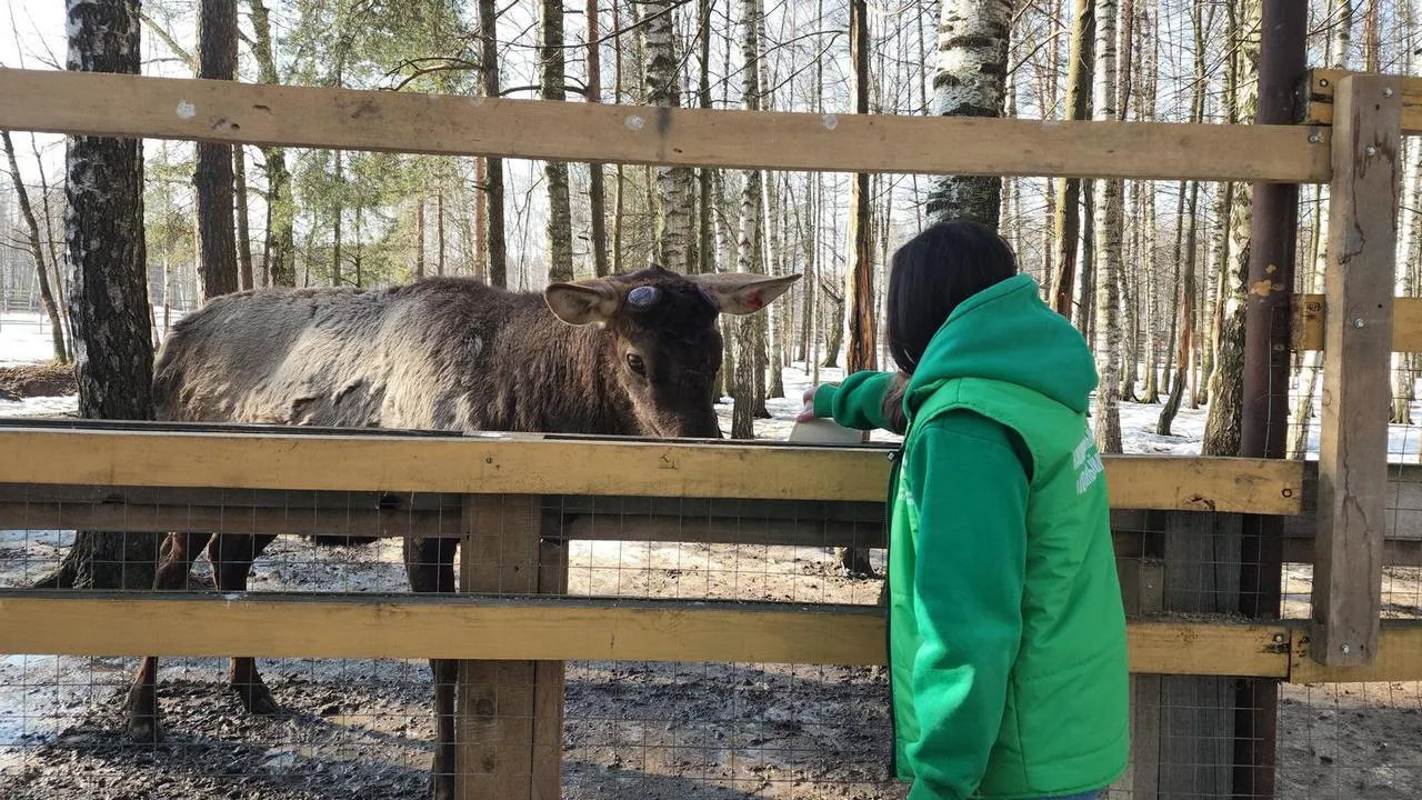 МедиаБанк Подмосковья/Валерия Исаева