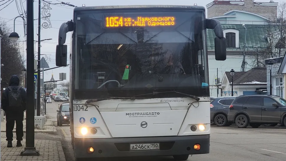 Фото: Хавива Фонина