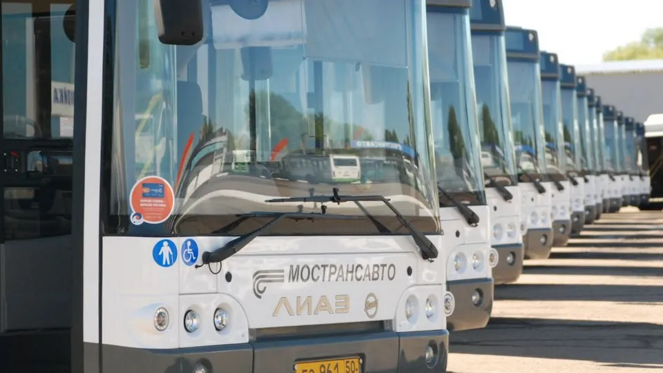 Фото: пресс-служба губернатора и правительства Московской области