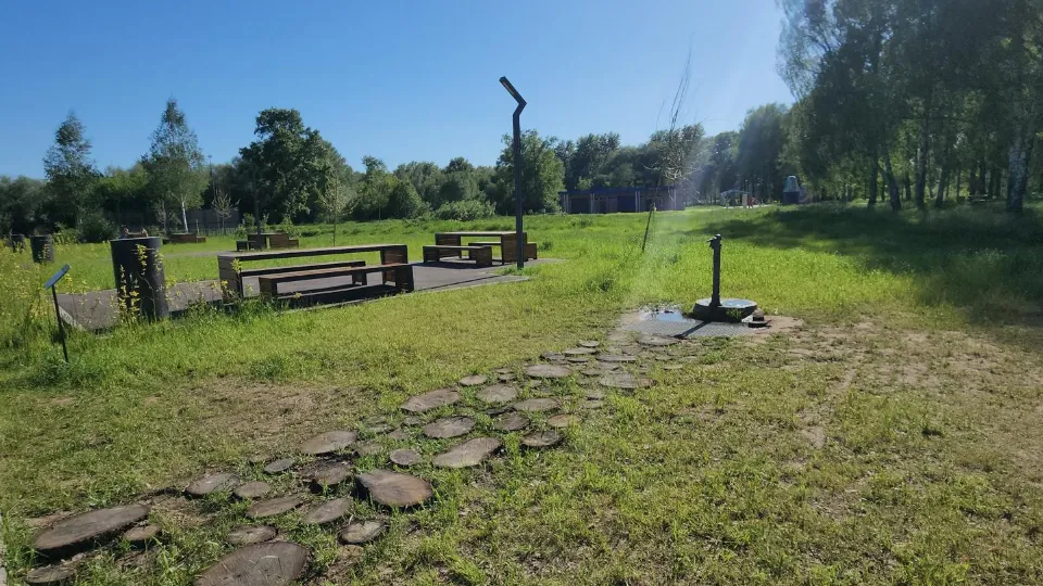 Алена Притула