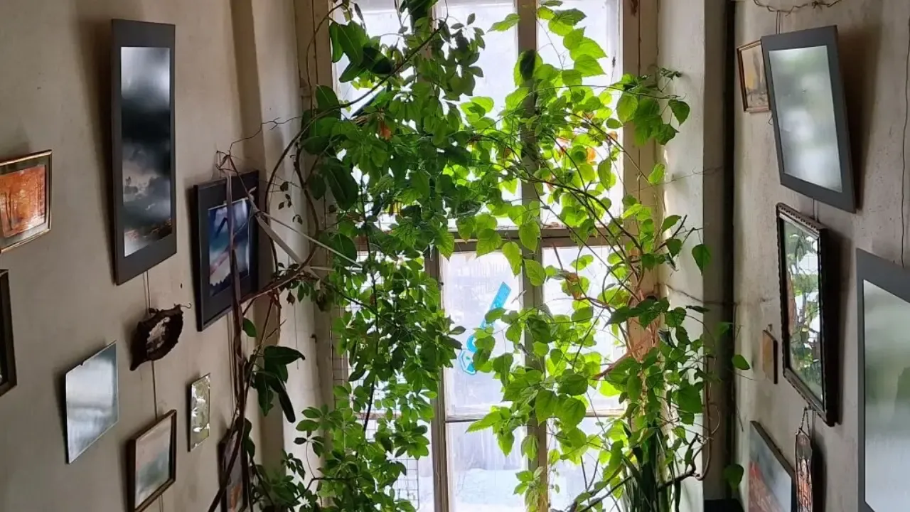 из личного архива Алексея Рыбкина