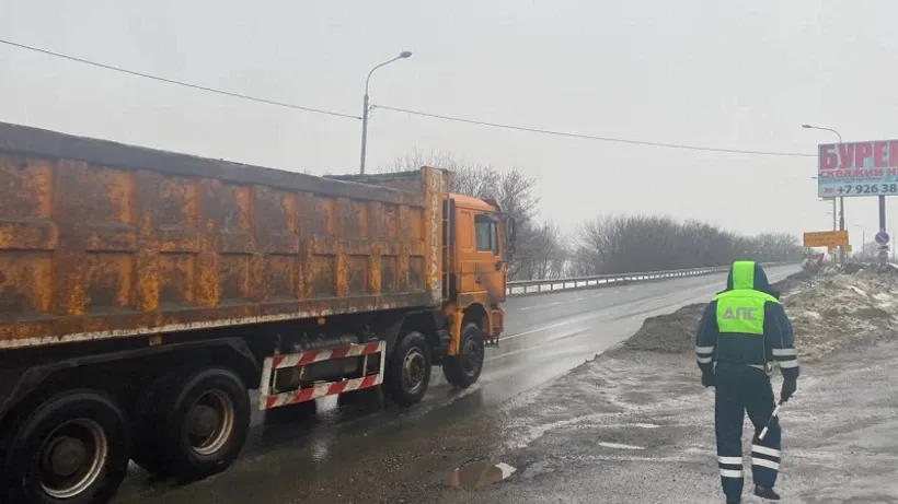 Источник: пресс-служба министерства экологии и природопользования Московской области
