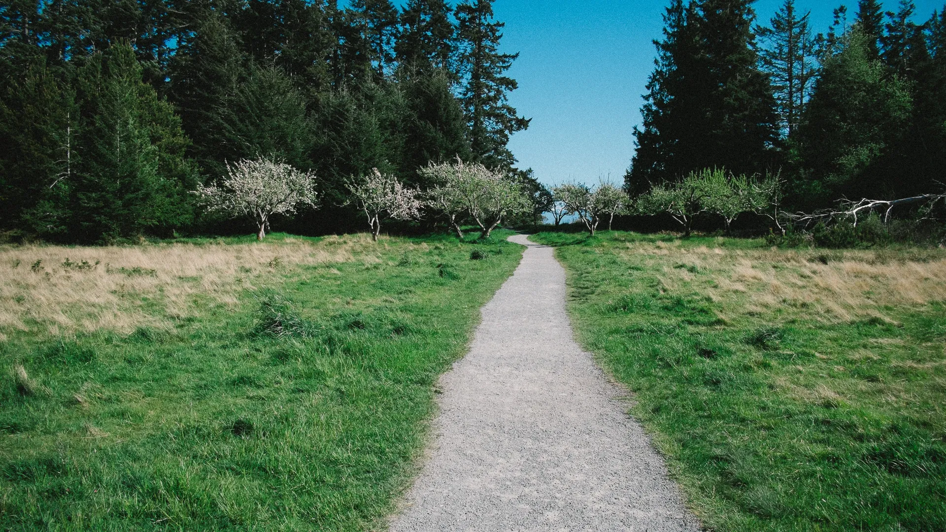 Фото: pxhere.com