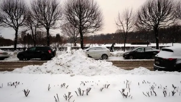 В Петербурге будут штрафовать ответственных за плохой уход за парковыми зонами