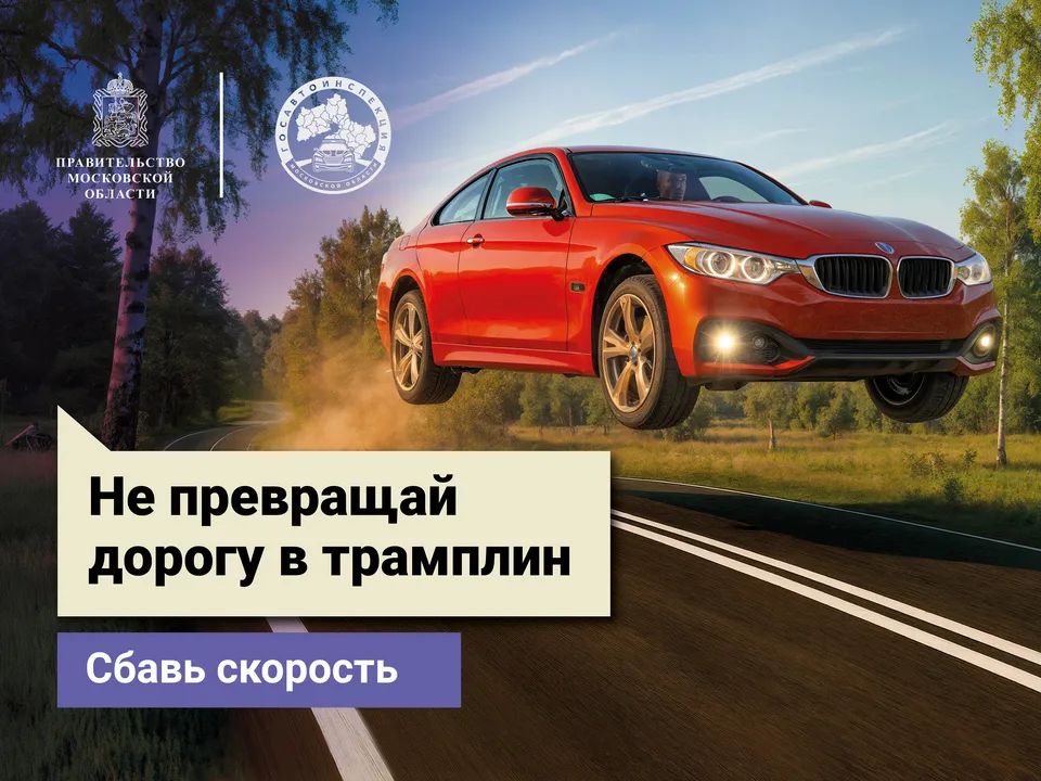 Фото: Госавтоинспекция по Московской области