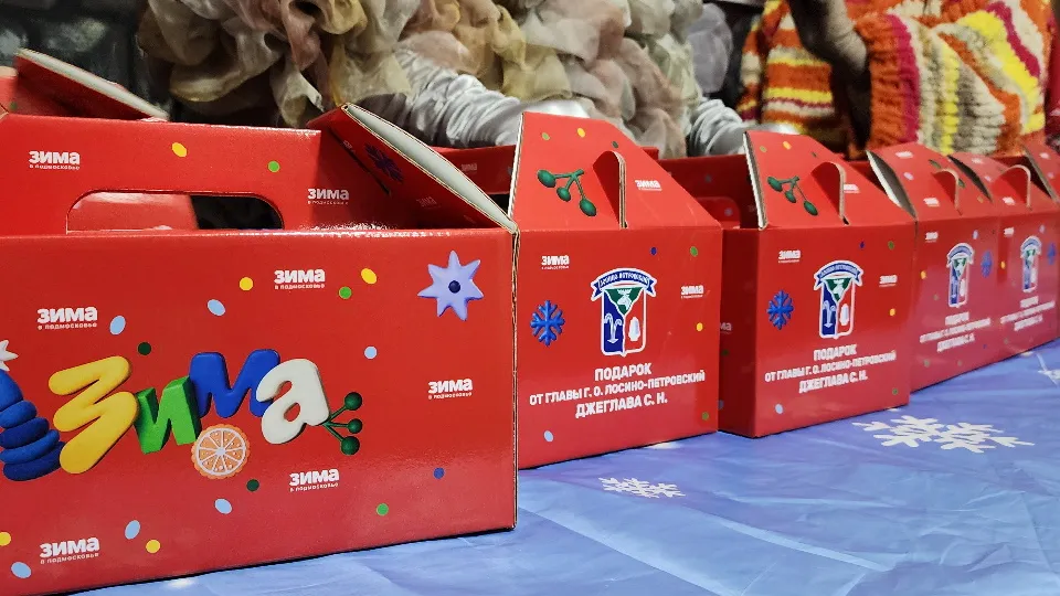 Фото: МедиаБанк Подмосковья/Валерия Тингаева