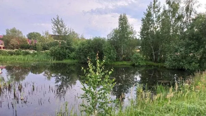 Жители Подмосковья смогут принять участие в фотоконкурсе «Природа и климат»