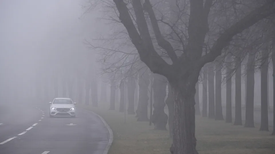 Фото: РИА Новости/Евгений Биятов