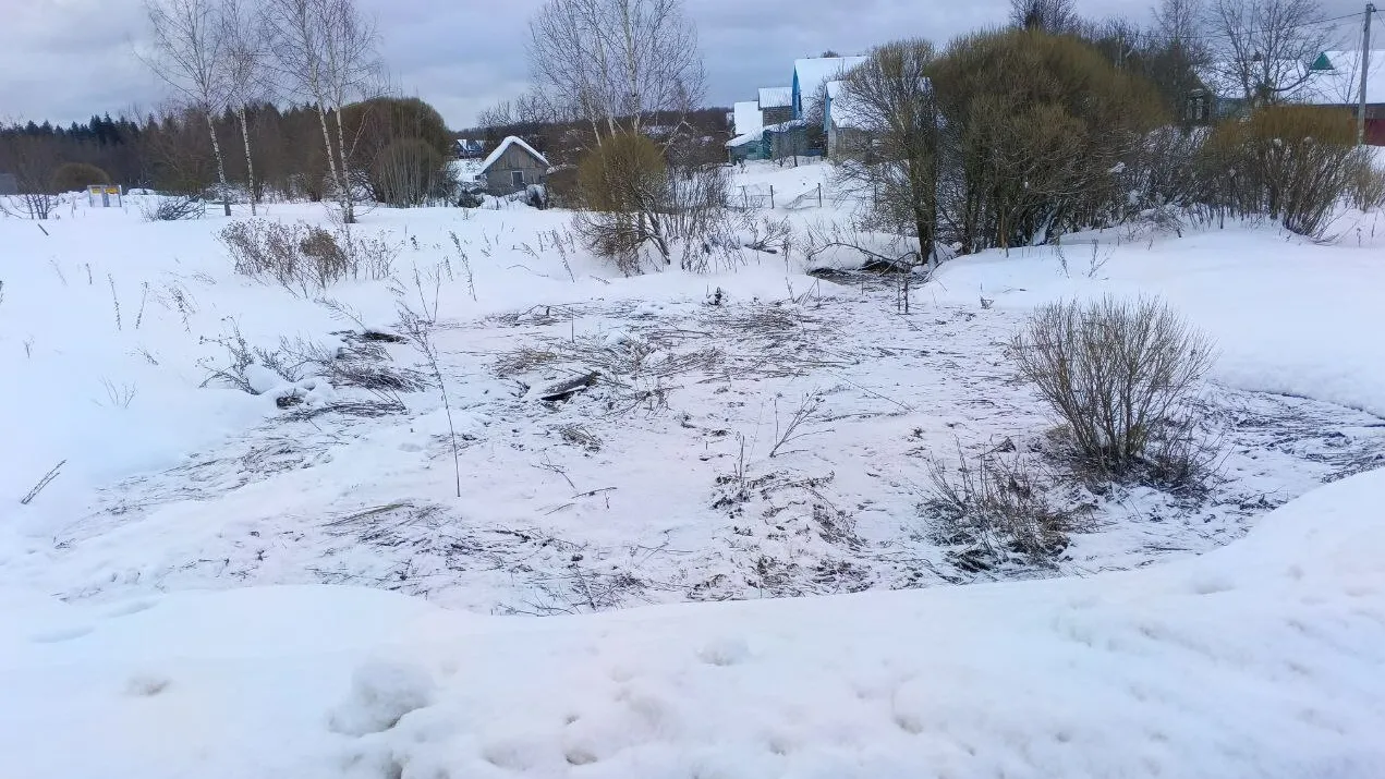 Фото: МОС АВС / Telegram