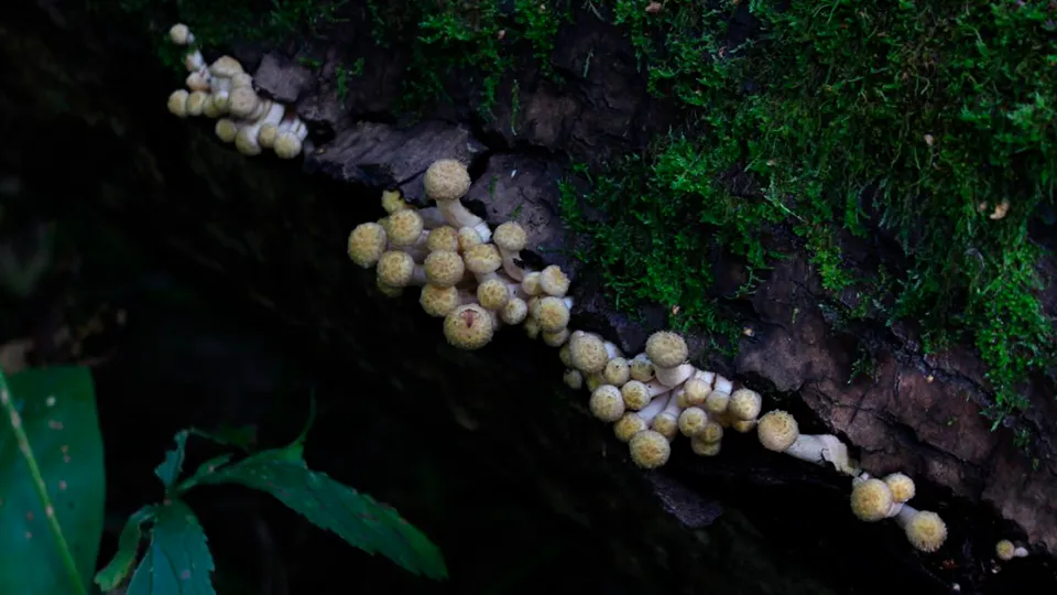 Фото: REGIONS/Анастасия Широкая