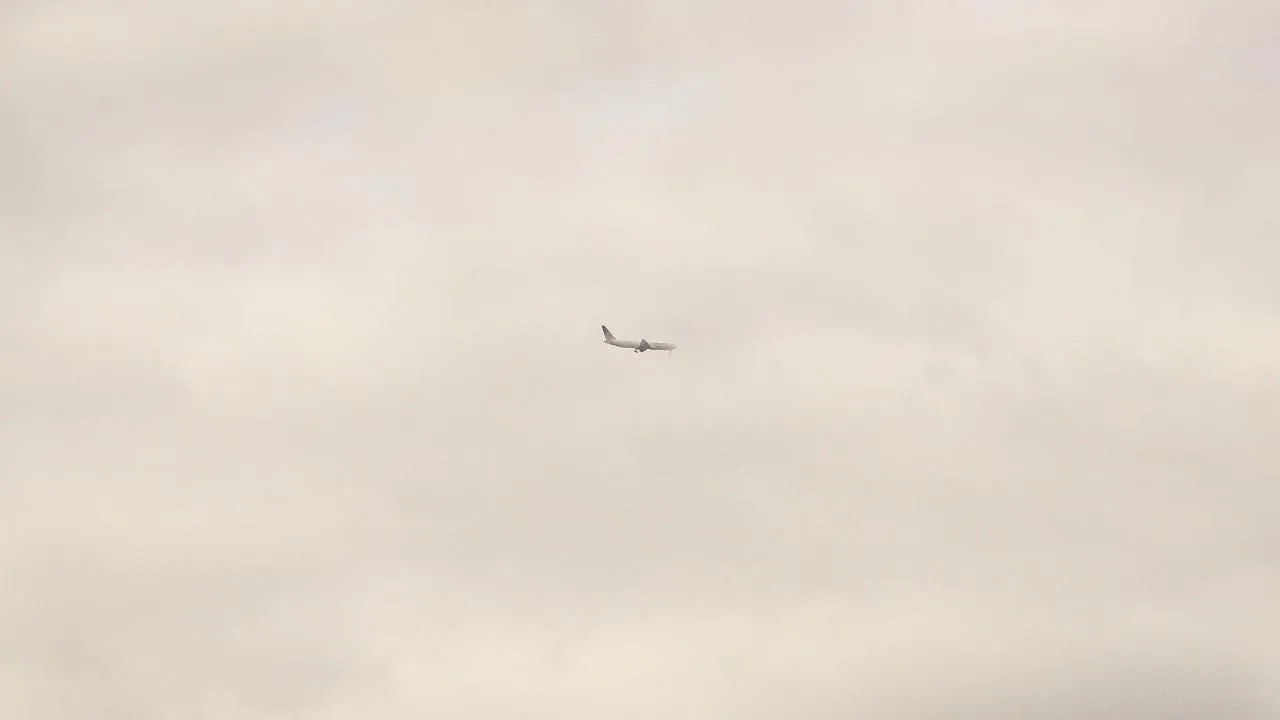 Момент падения грузового самолета в Вильнюсе попал на видео