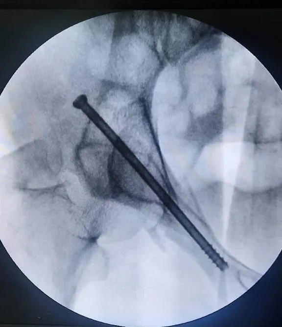 фото: администрация Волоколамского округа