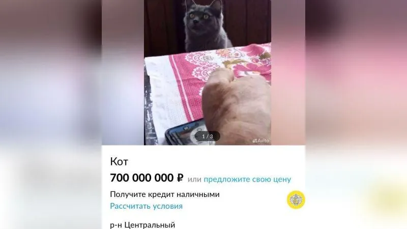 МОЙ КРАСНОДАР / ВКонтакте