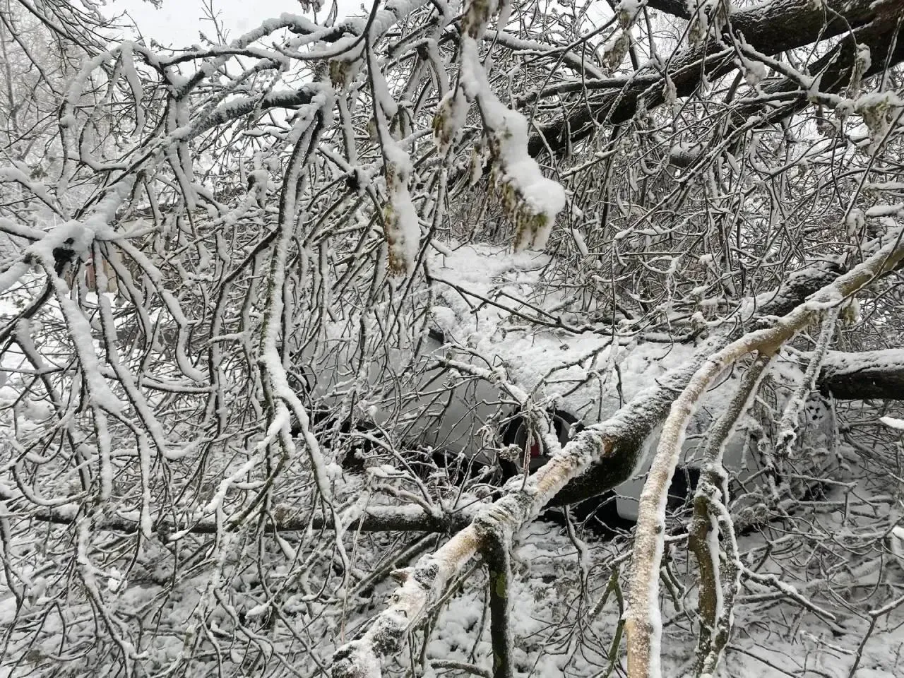 Глава муниципального округа Чехов Михаил Собакин