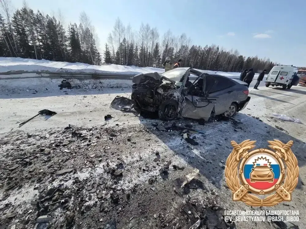Владимир Севастьянов