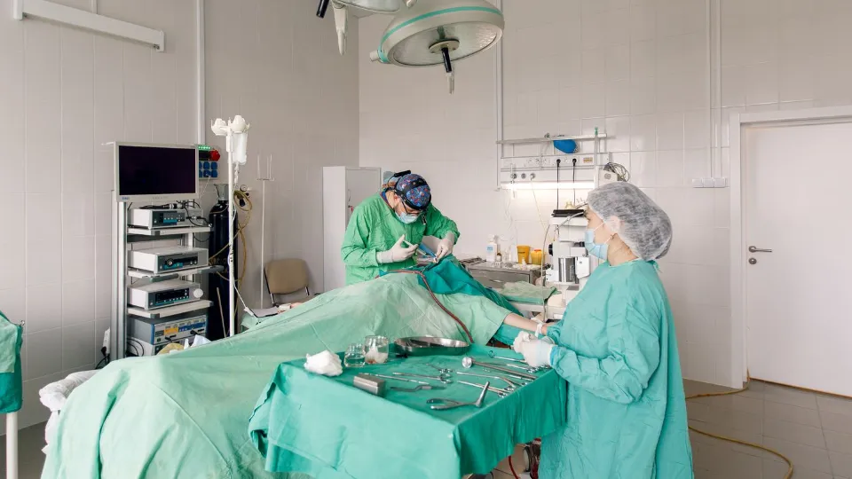 Фото: медиасток.рф