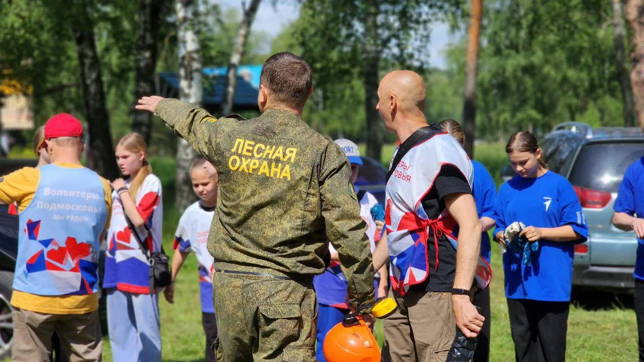 Фото: Комитет лесного хозяйства Московской области