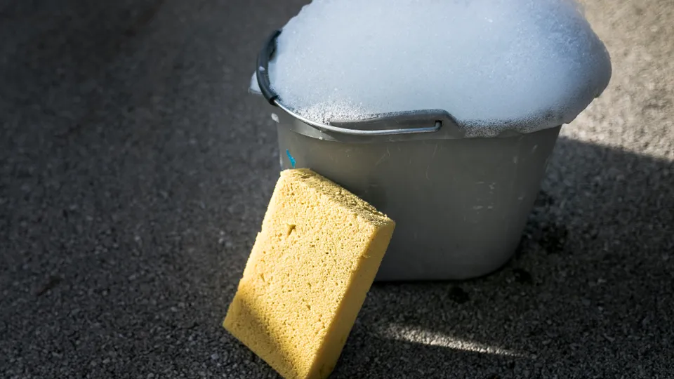 Фото: istockphoto.com