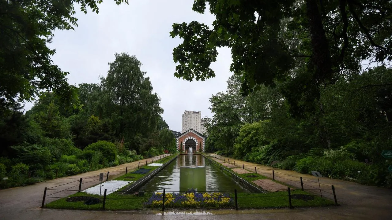 медиасток.рф
