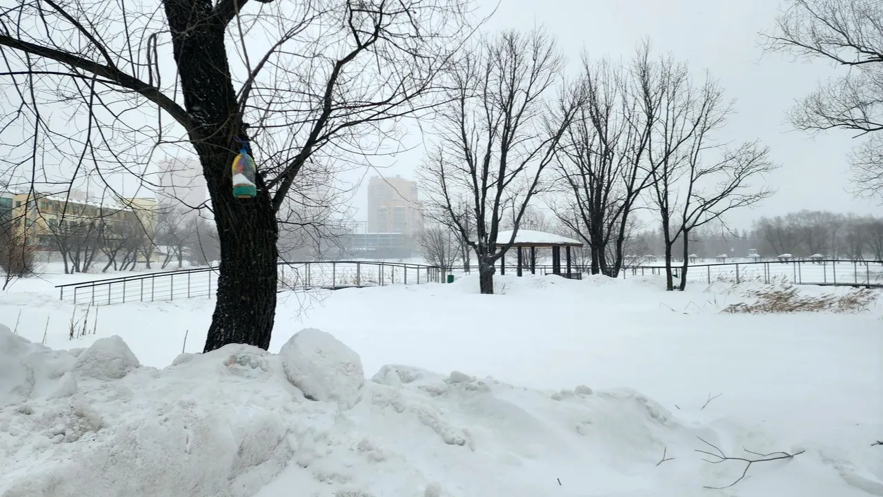 МедиаБанк Подмосковья/Мария Овчинникова