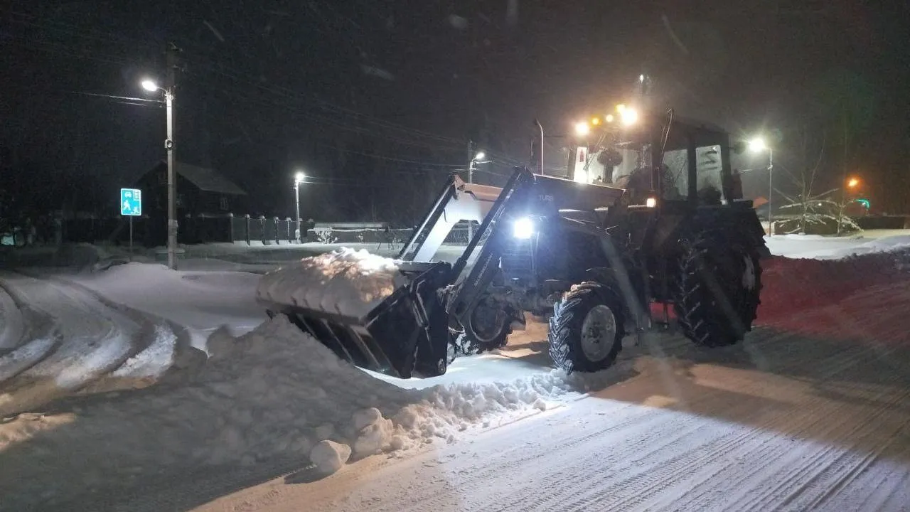 МедиаБанк Подмосковья/Екатерина Данилина