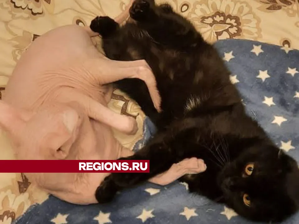 Фото: личный архив Людмилы Рассихиной