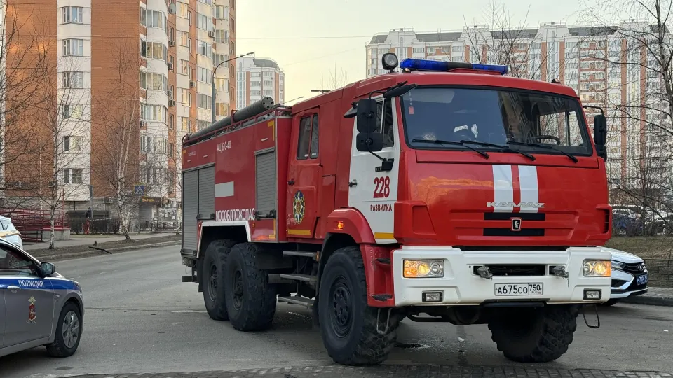 Фото: Полина Абраменко