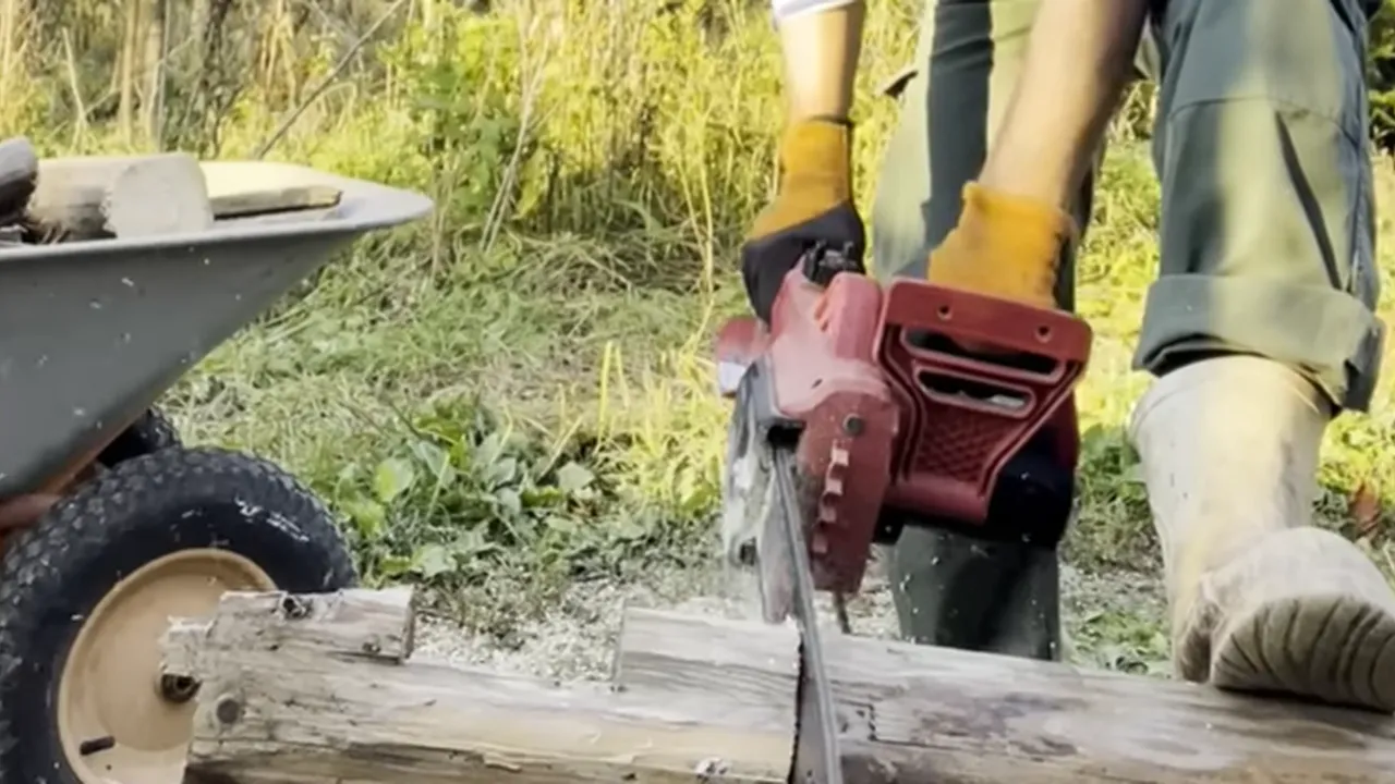 личный архив Ксении Наумовой