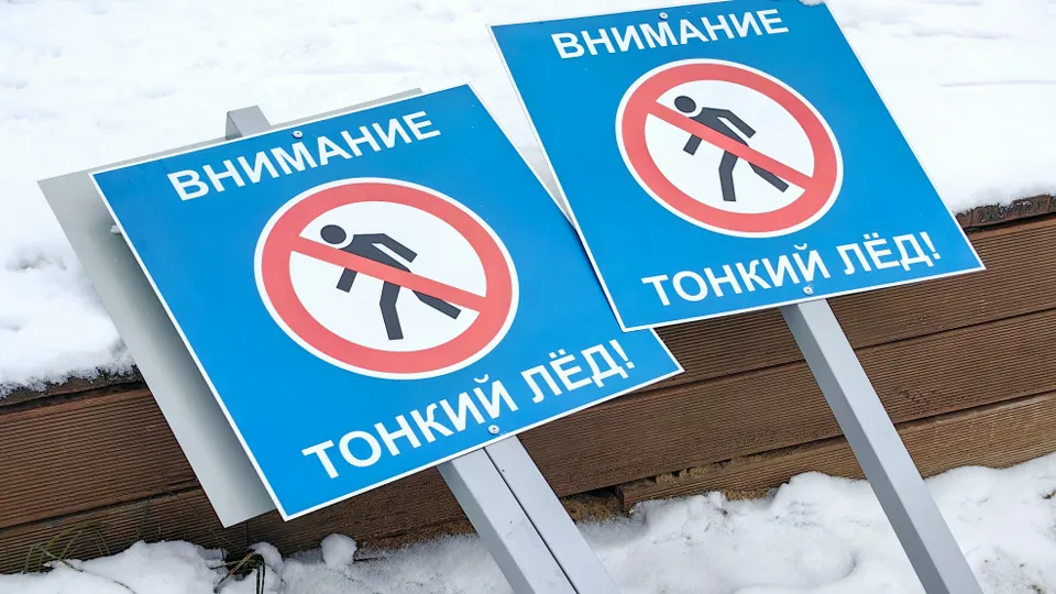 Фото: МедиаБанк Подмосковья/Елена Катасонова