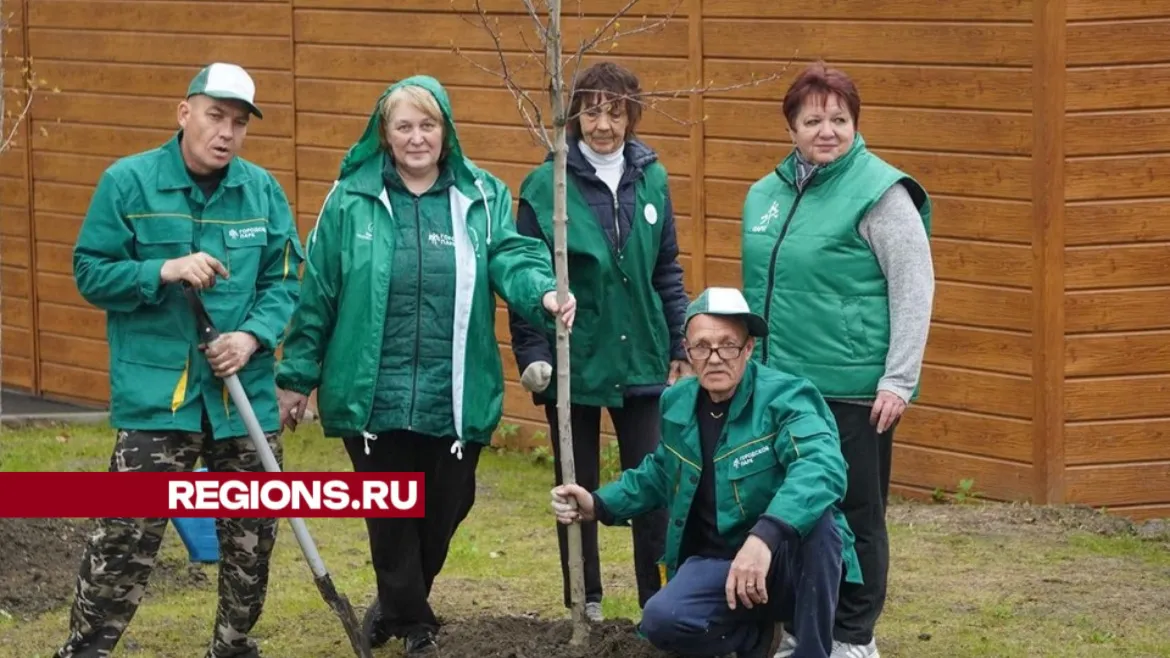 Фото: Алена Притула