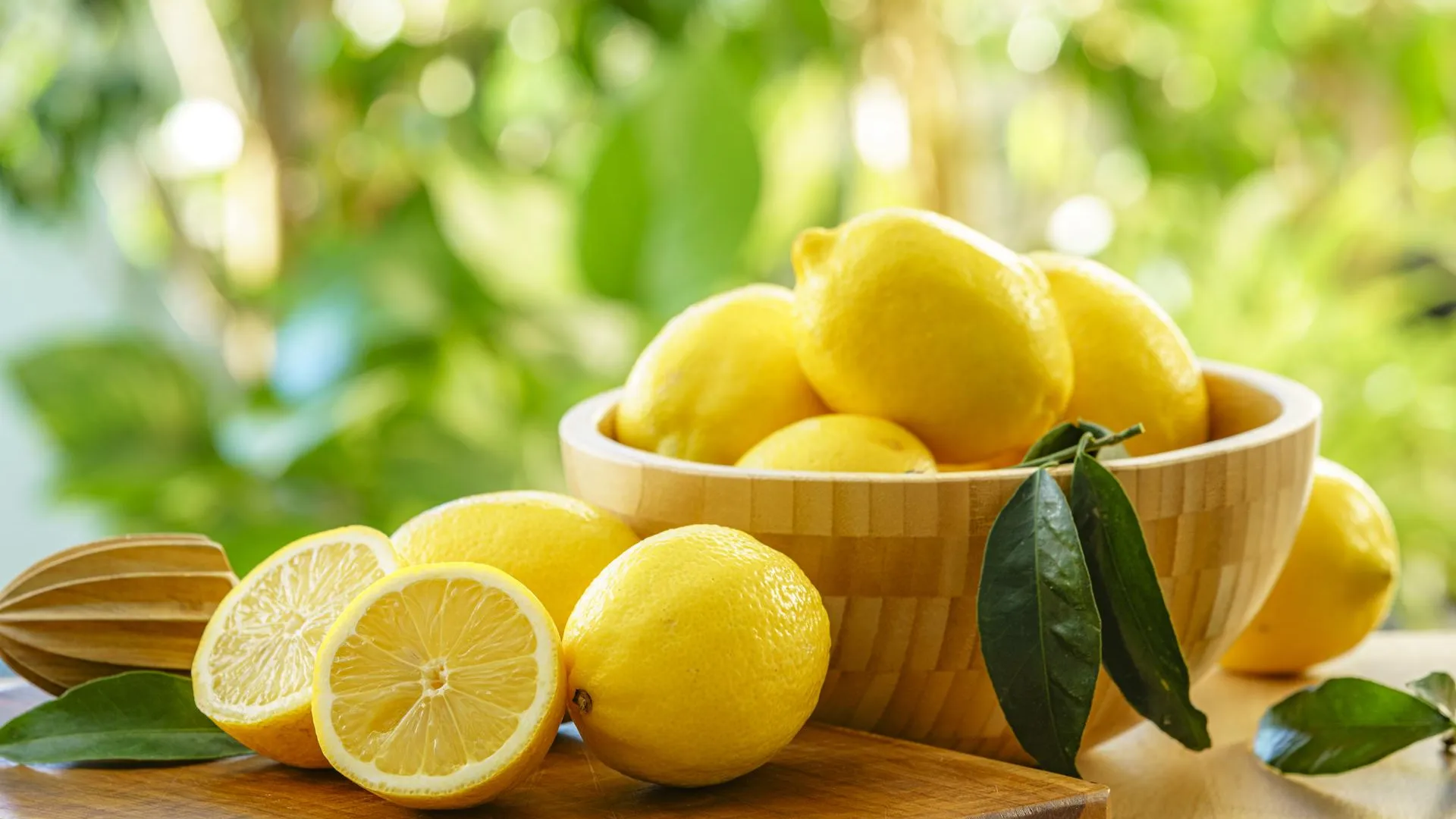 Российские лимоны: в Крыму начали сбор экзотических фруктов