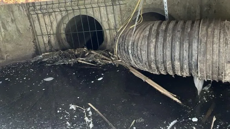 В Подмосковье выявили факт несанкционированного пользования водным объектом