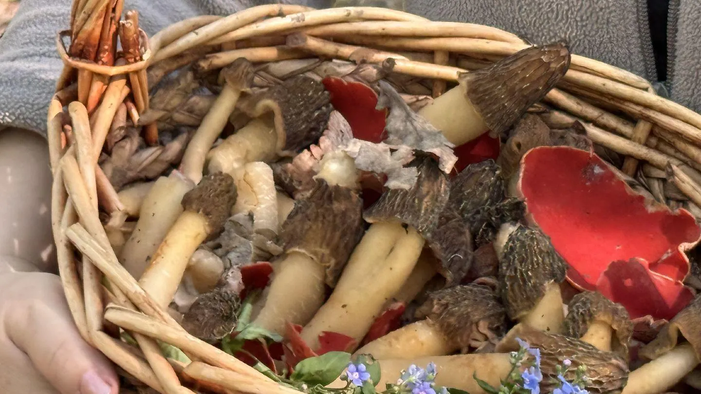 МедиаБанк Подмосковья/Мария Шматкова