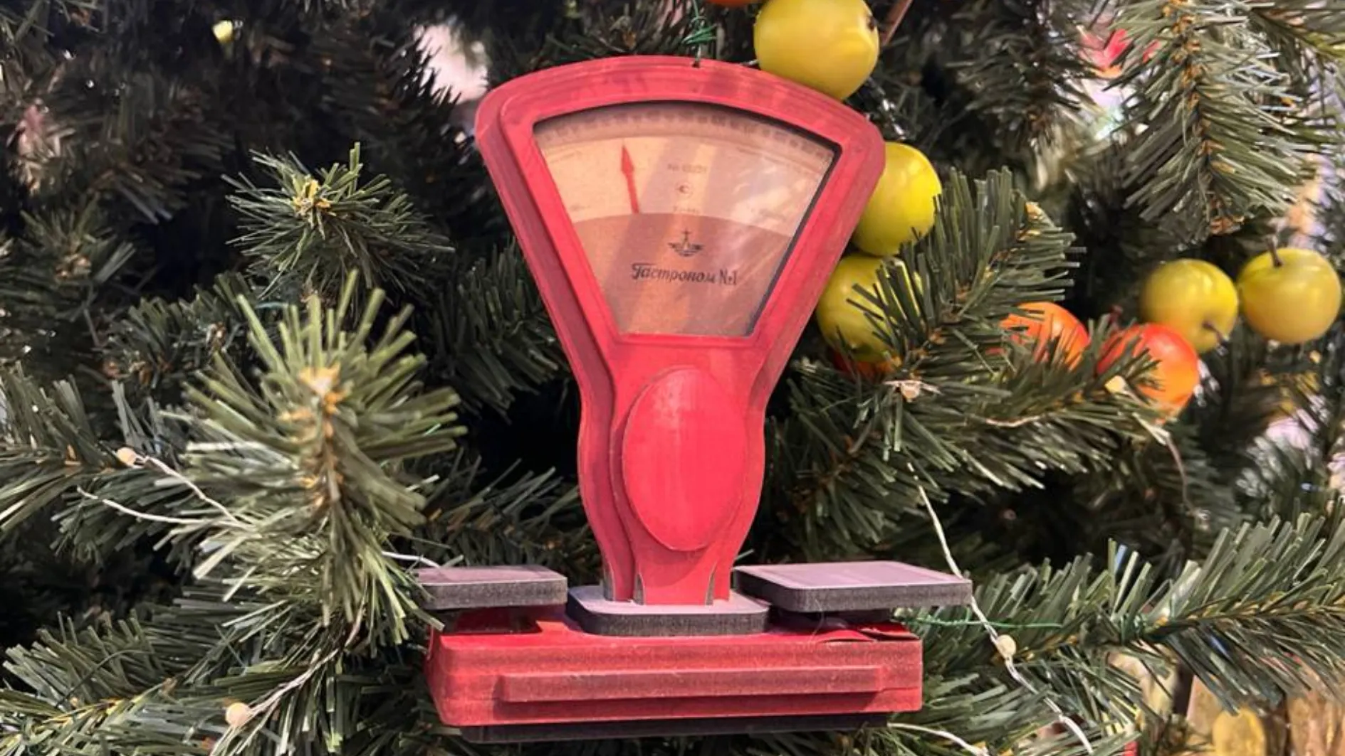 Фото: REGIONS/Елена Фурман