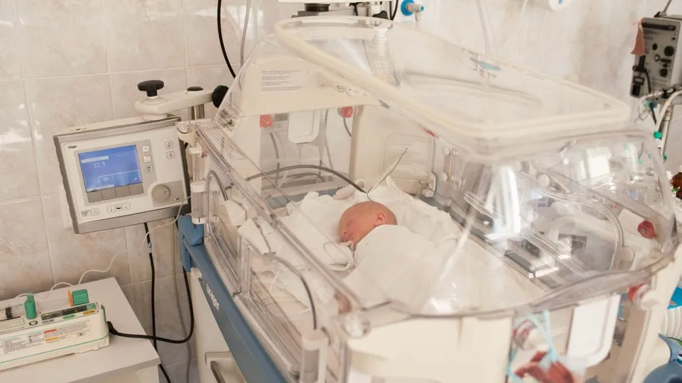 Фото: медиасток.рф