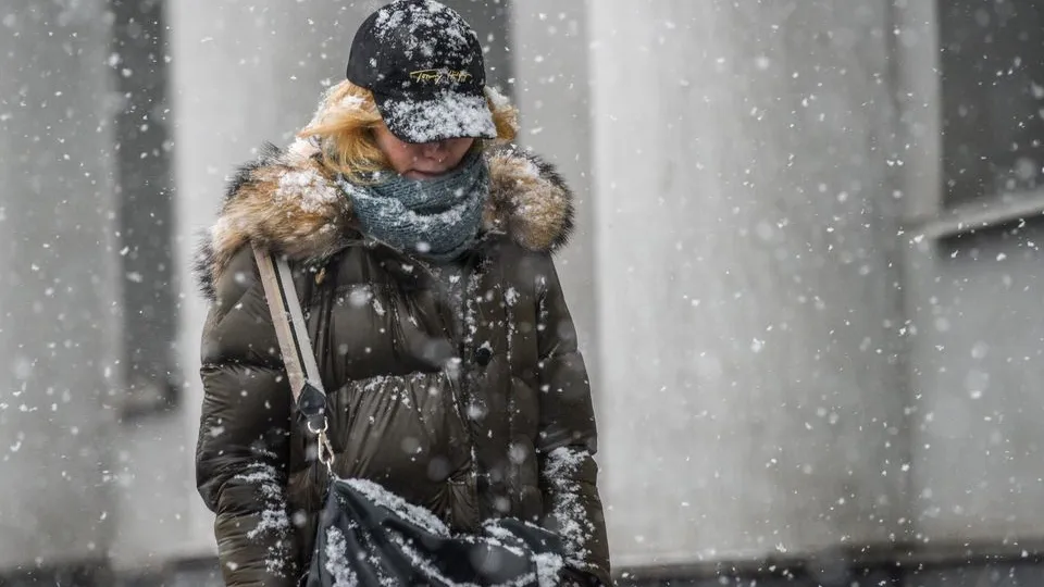 Фото: медиасток.рф