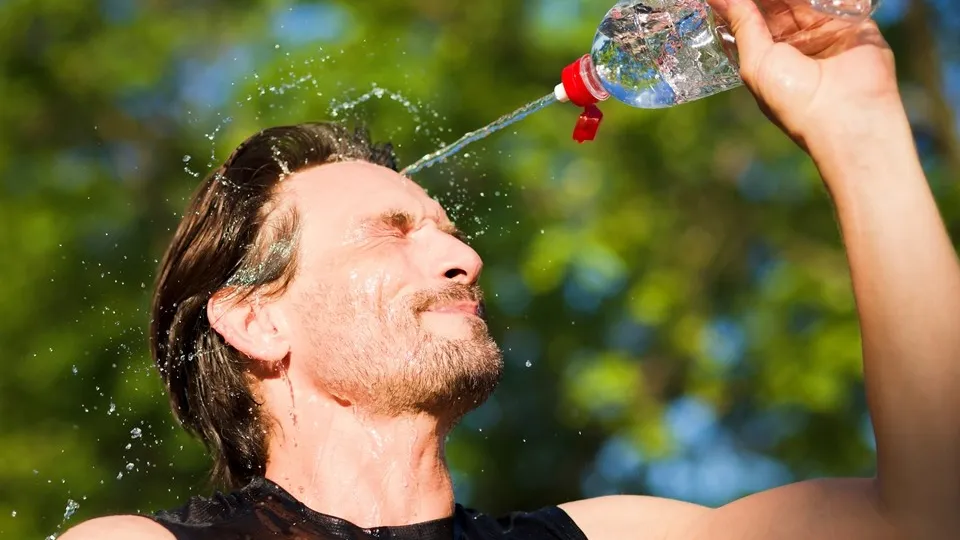 Фото: freepik.com