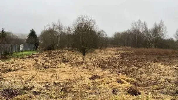 Комитет по конкурентной политике Московской области