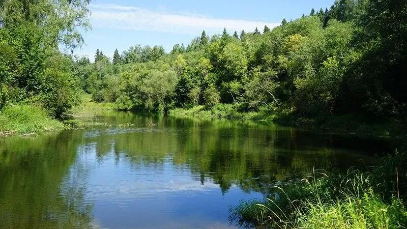 Фото: Минэкологии МО