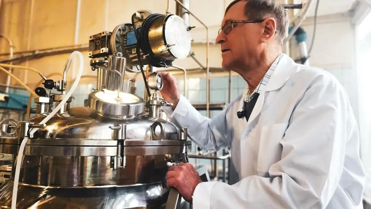 REGIONS/Анна Мороз