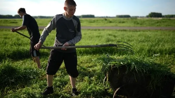 Депутат Госдумы: подростков необходимо постепенно приучать к труду